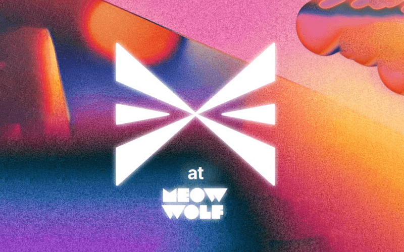 Meow Wolf Experience